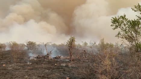 burned ground and dense smoke by road, wildfire consequences and air pollution. view from moving vehicle, full frame