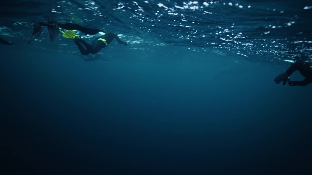 Mergulhador livre deslizando sob a superfície de um fiorde no Ártico norueguês em água azul escura.