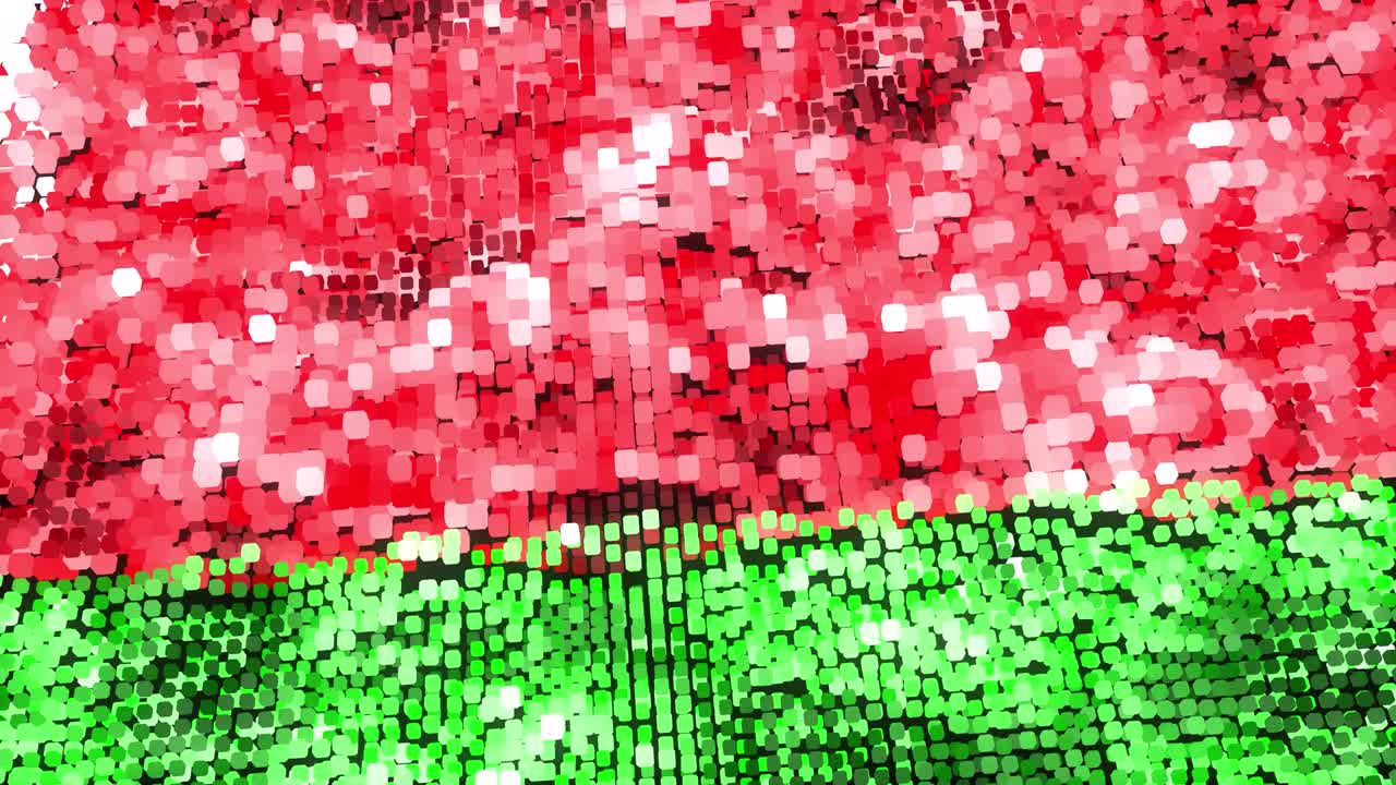 벨라루스 밝은 발 - 루프