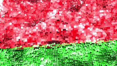bandera de bielorrusia brillante - bucle