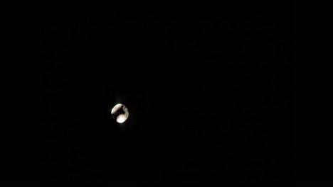 luna llena blanca en el cielo nocturno oscuro a través de las ramas de los árboles - toma en ángulo bajo
