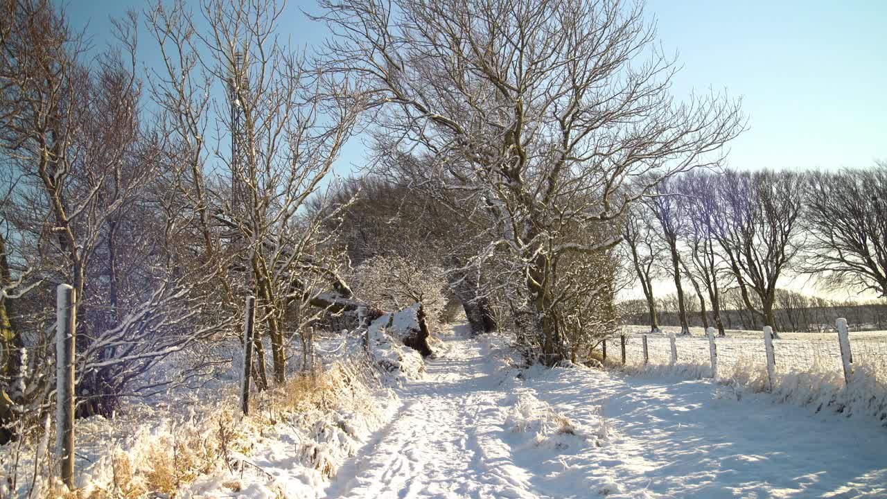 Gangsti mellom trær dekket med et tykt lag hvit snø med et gjerde på siden.