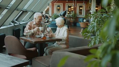elderly couple enjoying tea in a cafe