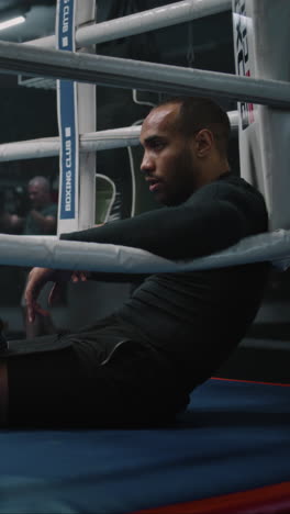 boxer resting in the ring