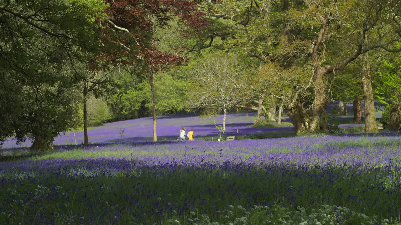 turistas caminando en los famosos jardines de enys