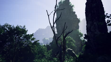 Majestic mountain landscape featuring lush greenery and rocky formations