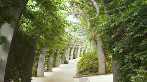 Focus-pull-of-vines-around-the-famous-South-Bank-Arbours-in-Brisbane,-Australia