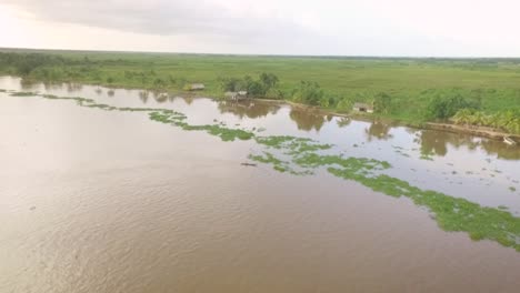 Vista-De-Drones-De-Una-Pequeña-Canoa-Indígena-Cruzando-Un-Montículo-De-Algas-Flotantes-En-El-Delta-Del-Río-Orinoco