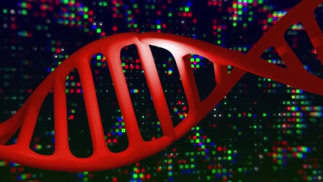 Animation-of-dna-strand,-binary-coding-and-data-processing