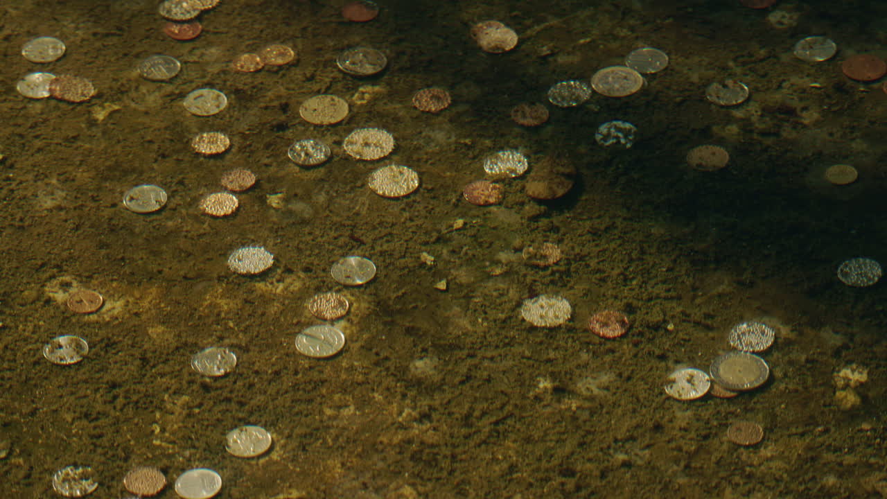 Coins in water