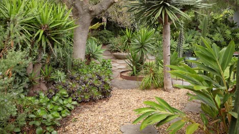 a tranquil walk through a lush garden