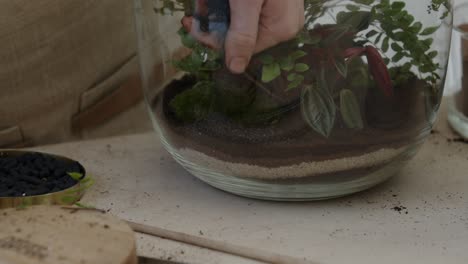 a young female botanist carefully puts the soil into the glass terrarium with a tiny live forest ecosystem - a tight close-up