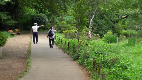 in zempukuji park, in tokyo, japan it is very common to see older people strolling accompanied by their partners, on their walks they always stop to contemplate part of the landscape and animal life