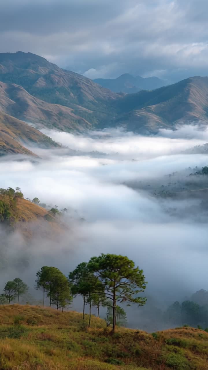Lanskap yang Tenang Menampilkan Pegunungan Subur dan Kabut Mistis, Memamerkan Keindahan Alam Hutan Belantara dengan Tumbuhan Hijau Subur dan Penutup Awan Bergulir