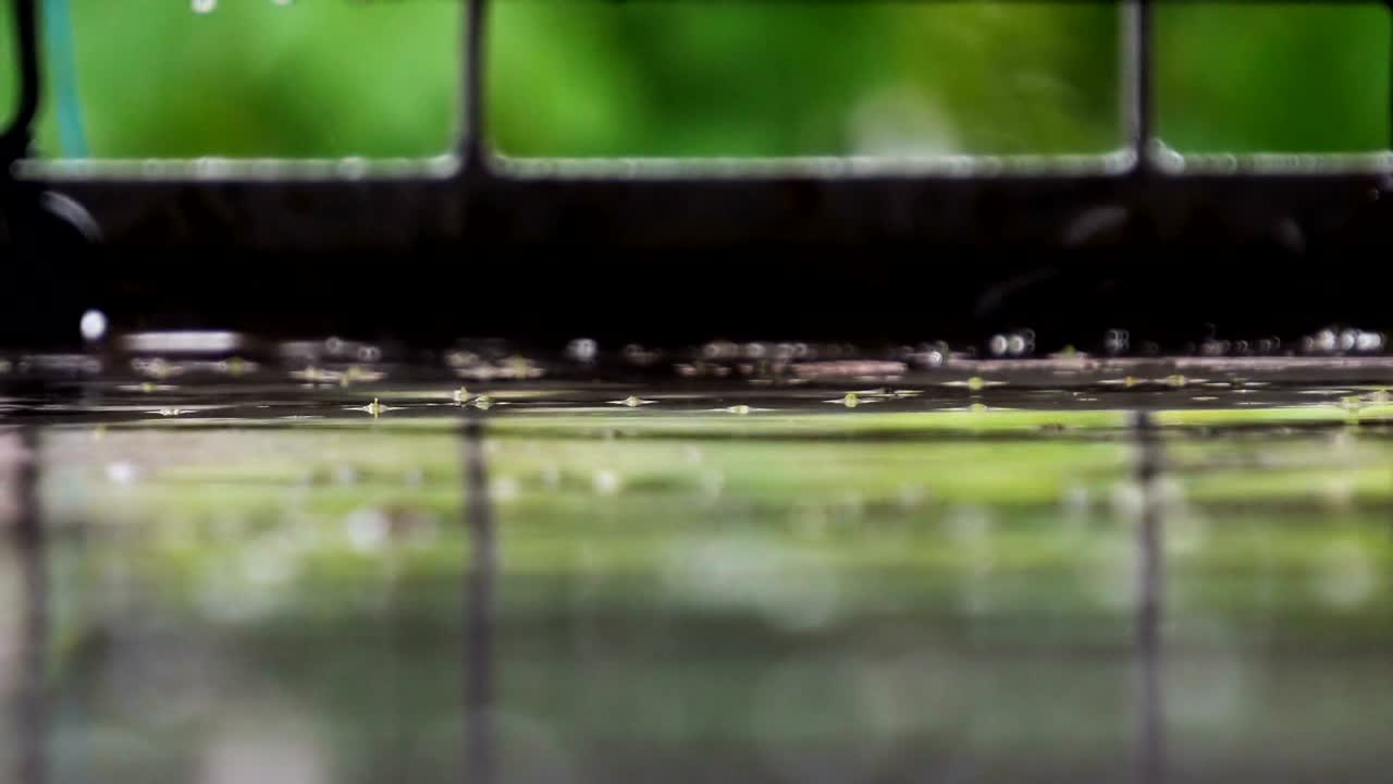 Heavy rain on surface, natural background, cinematic shallow dof, audio included