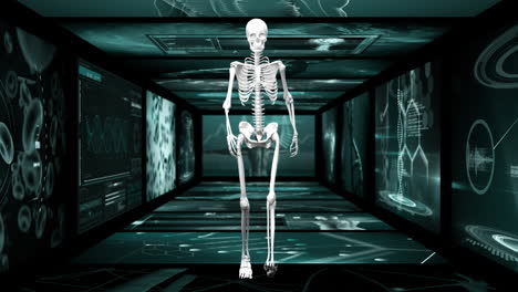 animación del esqueleto humano caminando por el pasillo de la pantalla del científico