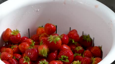 Freshly-washed-organic-strawberries-fall-into-a-white-colander-from-above,-slow-motion