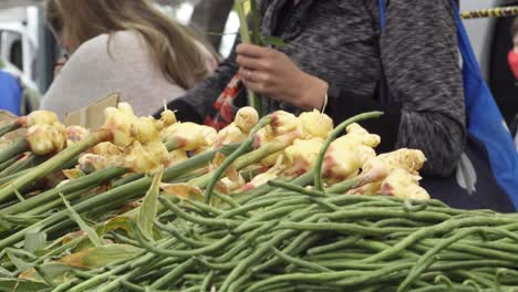 Productos-Agrícolas-Orgánicos-Frescos-Verduras-Y-Hortalizas-Para-La-Venta-En-El-Mercado-De-Agricultores-Semanal-De-Santa-Bárbara,-California-1