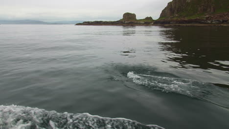 watching dolphin from a sailing boat