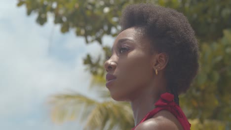 Tracking-left-to-right-pan-close-up-of-an-African-facemodel-with-an-afro-hairstyle