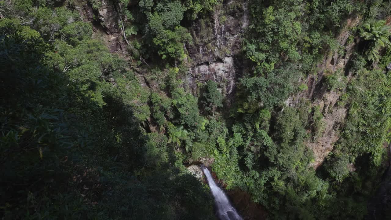cascada en cascada a través de un desfiladero de selva tropical exuberante
