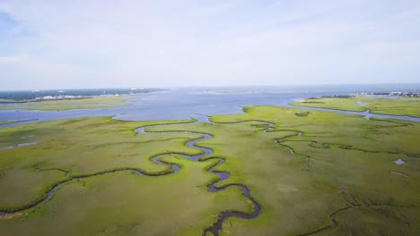 drone flying over green wetlands near the ocean