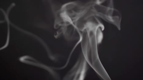 disparo en el estudio. humo grueso gris sobre un fondo negro flotando lentamente en el aire. idea lista con lugar para su diseño y texto. copyspace