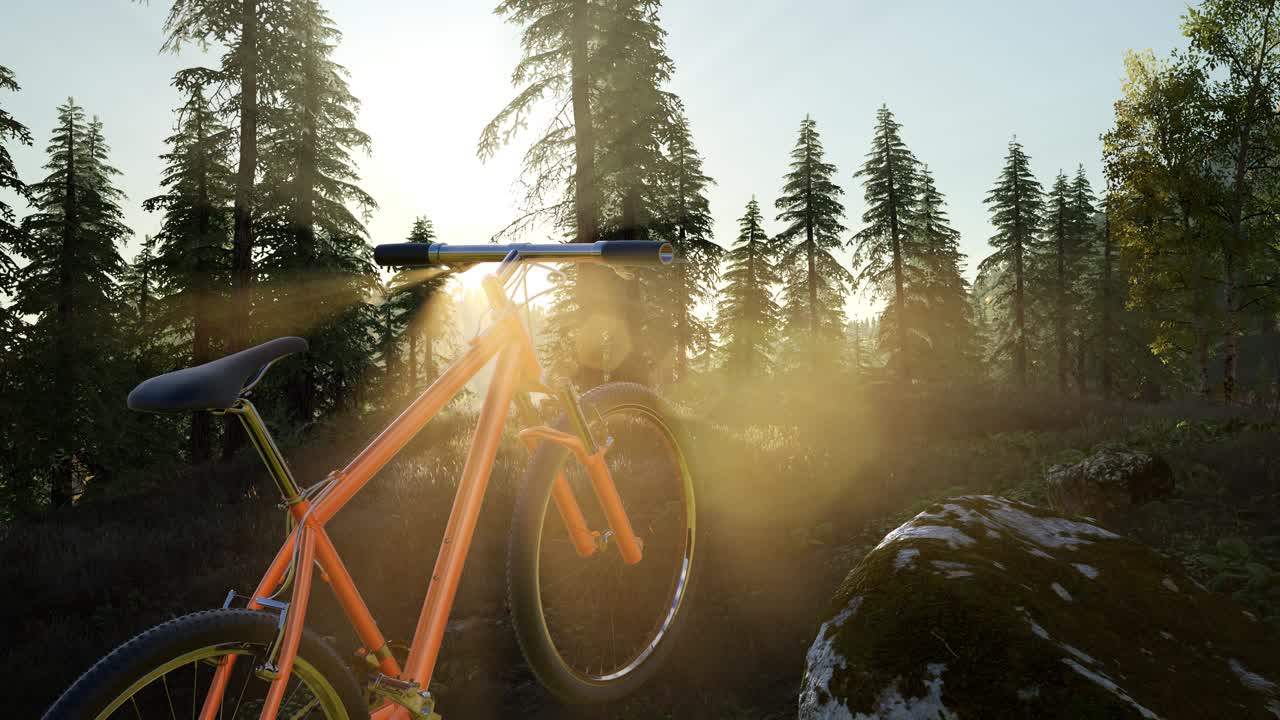 Bicycle in Mountain Forest