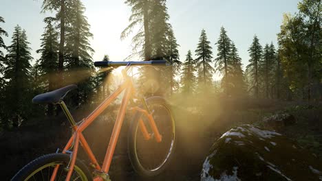 bicycle in mountain forest