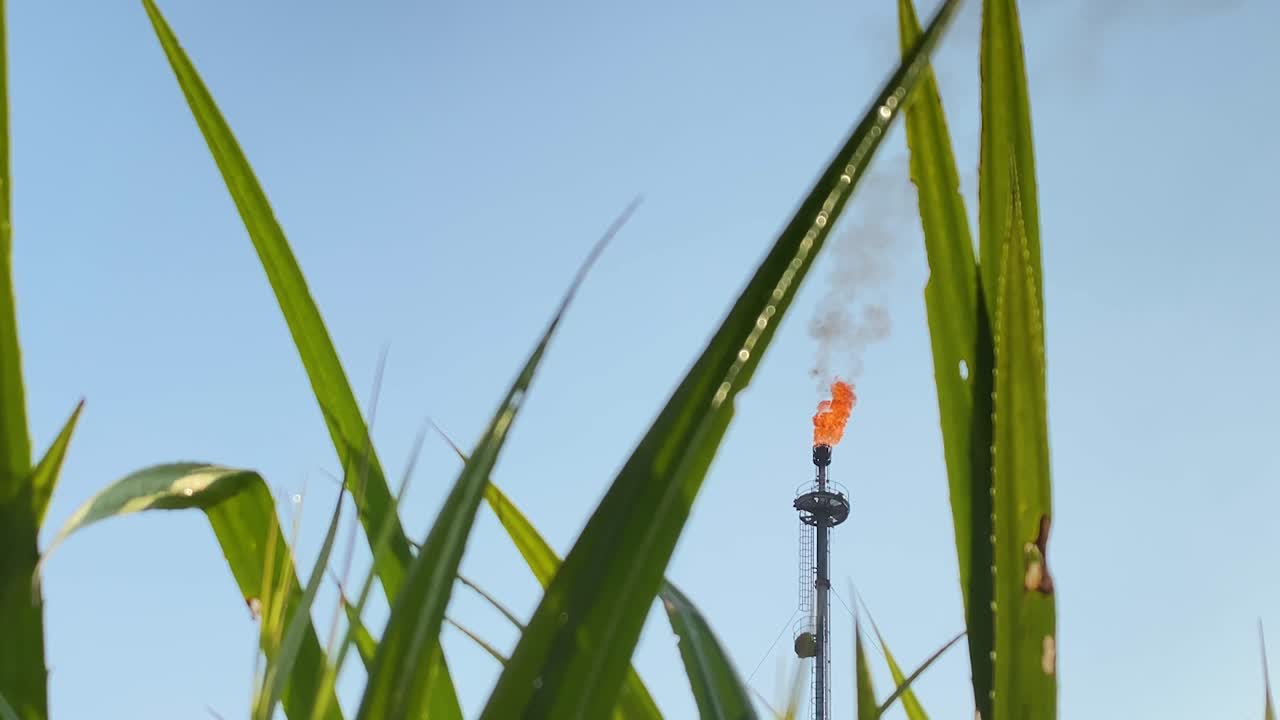 불타는 가스의 망원 확대는 풀을 통해 정제유 처리를 플레어합니다.