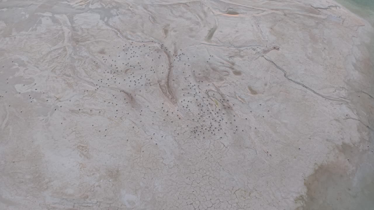 Aerial drone view of cracked desert terrain with dry textures and arid patterns