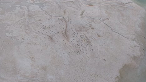 aerial drone view of cracked desert terrain with dry textures and arid patterns
