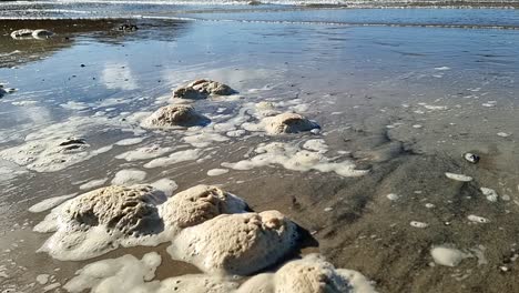 Dirty-sea-spume-froth-slowly-moving-across-sandy-Welsh-beach-with-tide-waves