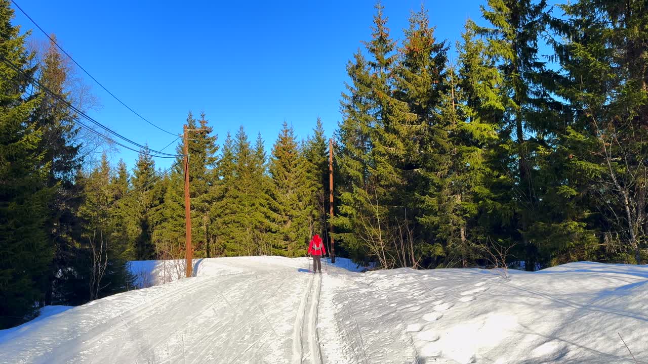 Skier uphill groomed ski track cross country skiing ski trail path Holmenkollen Toppsesteret Skimore Oslo Norway Norge Frognerseteren afternoon arctic golden hour sunny sunset forest static shot