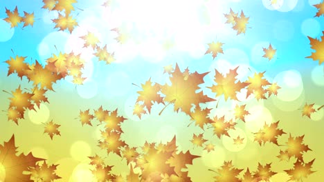 cool autumn leaves falling