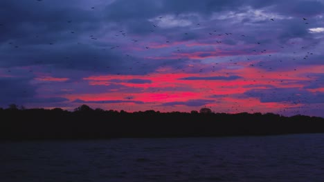 during blood-red sunset, sky fills with thousands of bats flying from an island