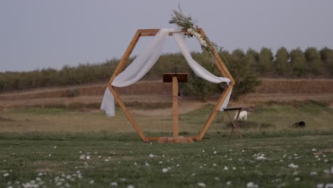 backyard wedding decorated with white petals and white horse in the background