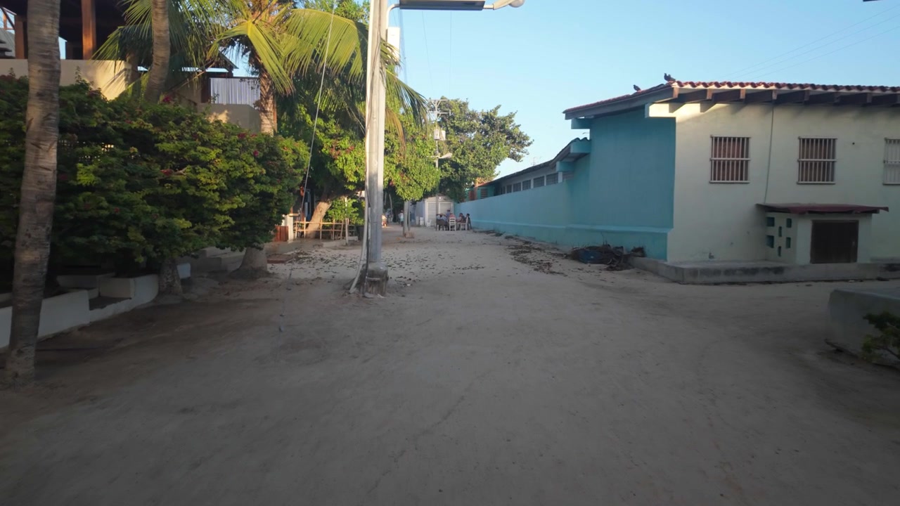 Wellness Tourism. First person walking through quiet sandy street lined with tropical homes and palm trees, non-traditional environment in Gran Roque, Los Roques, Venezuela.