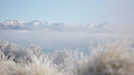 Paisaje-Helado-Y-Brumoso-Cerca-Del-Lago-Alpino-En-Nueva-Zelanda