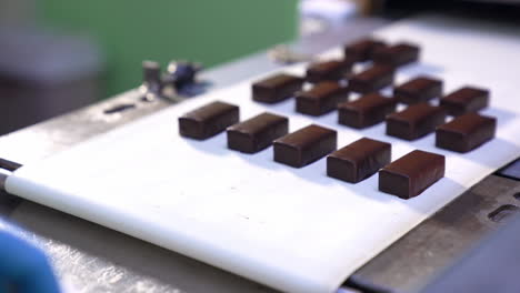 confectionery plant worker in blue gloves picks up ready candies from assembly line. freshly-made chocolate sweets being removed from a conveyor line. close up