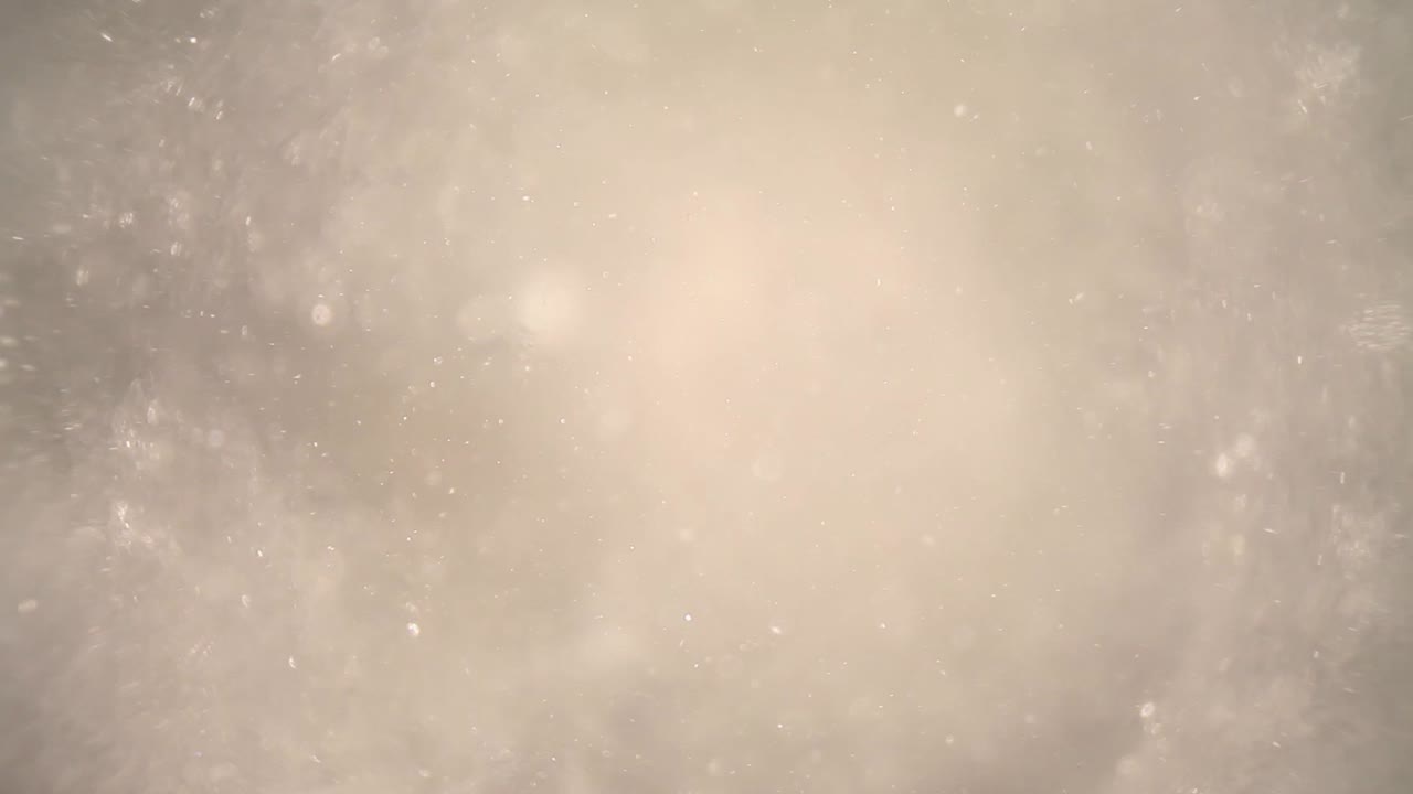 sumergido en una licuadora llena de cubitos de hielo picado (agua, separándose del hielo a medida que las partículas en el agua flotan) usando una lente de sonda de gran angular, obteniendo perspectivas únicas