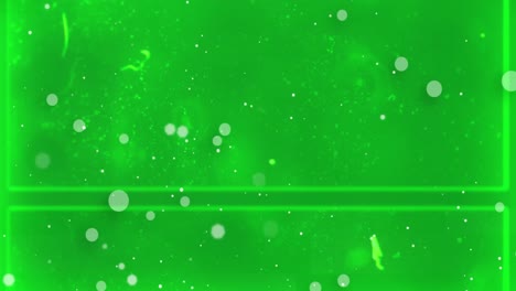 animation of green dots moving on green background with glitch