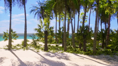 miami south beach park with palms