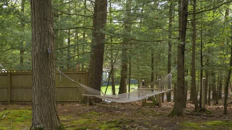 reveal of vacant string hammock suspended from woodland trees in enclosed fenced mossy garden