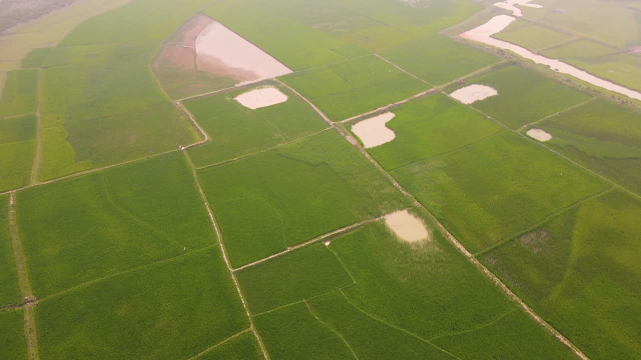 농촌 농업 인도의 무성한 녹색 논을 가로지르는 공중 전망