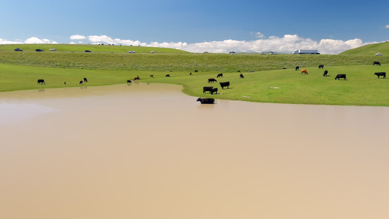 미국 캘리포니아 주 센트럴  ⁇ 리 의 고속도로 를 따라 있는 목초지 - 넓은 사진