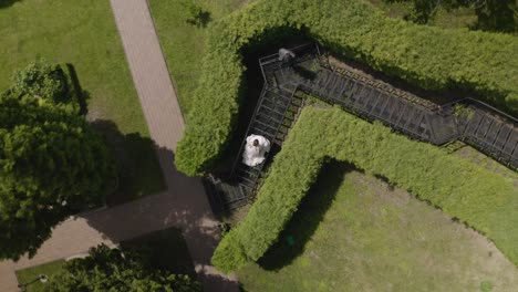 Newlyweds,-caucasian-groom-with-bride-stay-on-stairs-in-park,-wedding-couple,-man-and-woman-in-love