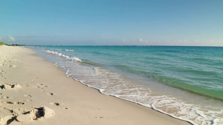 L'écume s'avançant, de petites vagues roulent sur la plage de sable mouillé, poussées par une douce brise marine, révélant des empreintes de pas