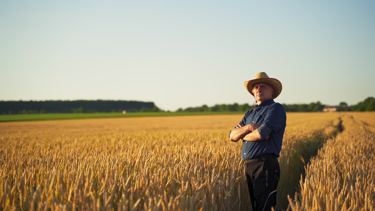 Businessman on agricultural field. Male agronomist in straw hat, shirt and trousers stands on field at sunset. Farmer admires ripe plants in farmland.