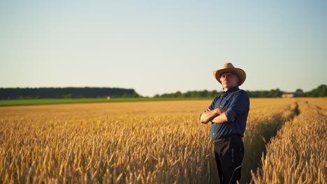 businessman on agricultural field. male agronomist in straw hat, shirt and trousers stands on field at sunset. farmer admires ripe plants in farmland.